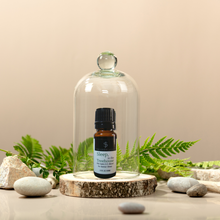Load image into Gallery viewer, Sleep, in the Treehouse E.O. Blend 10ml (Kid-Safe)